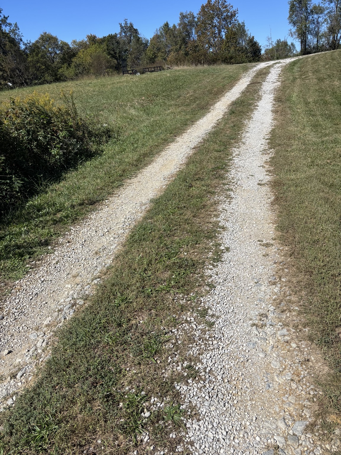 Overgrown gravel driveway before reconditioning